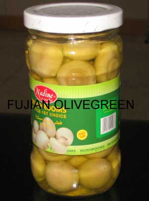 Canned Mushrooms,Canned Foods,Canned Fruits,Canned Vegetables,