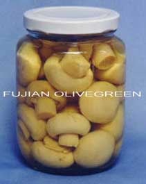 Canned Mushrooms,Canned Foods,Canned Fruits,Canned Vegetables,OG8104