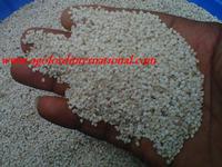 SESAME SEEDS
