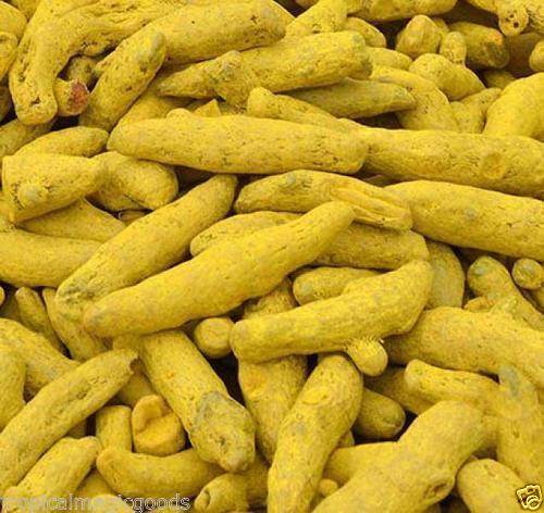 Turmeric Curcuma Extract