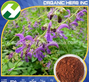 Salvia Miltiorrhiza Extract