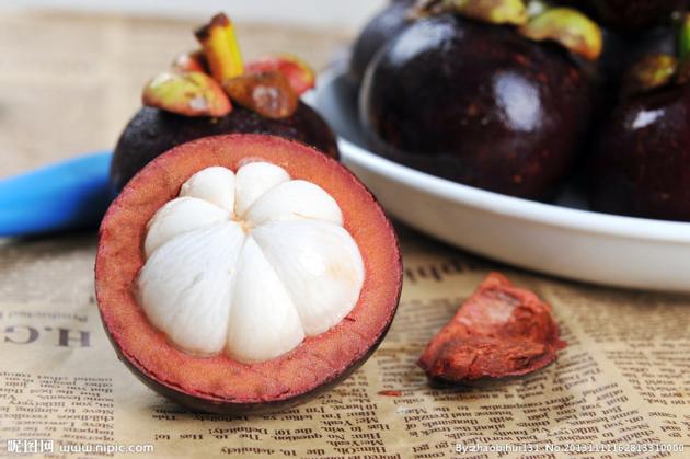 Mangosteen Powder Extract