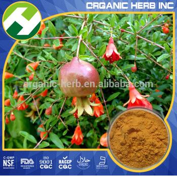 Extract Of Pomegranate