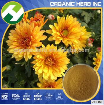 Chrysanthemum Extract Powder 