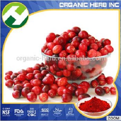 Cranberry Dry Extract Powder Anthocyanins