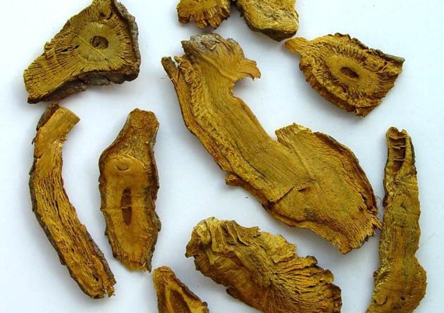 Polygonum Cuspidatum Extract Resveratrol