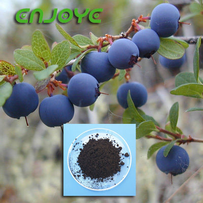 Bilberry Extract