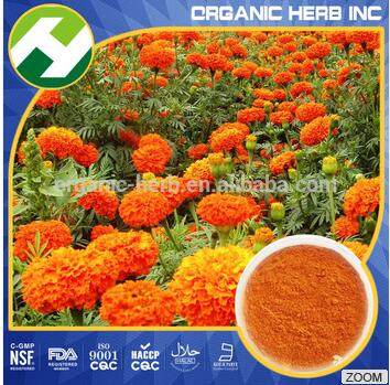 Calendula Officinalis Extract