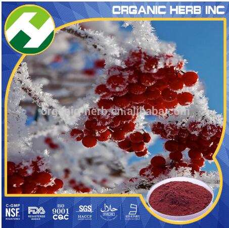 Cranberry Extract 