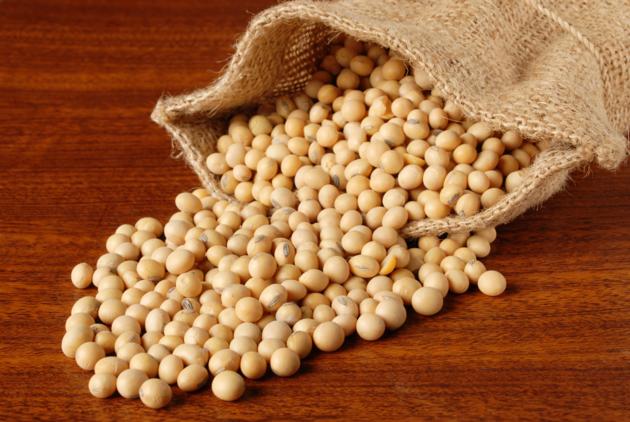 Soybean Extract Isoflavones