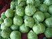 frozen vegetables
