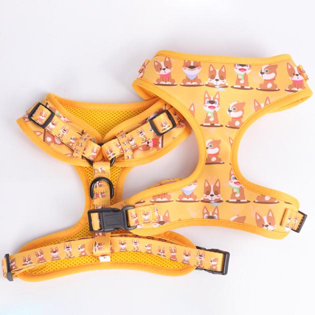 OKEYPETS Design Logo Pattern Adjustable Leash