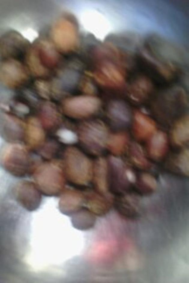 palm kernel