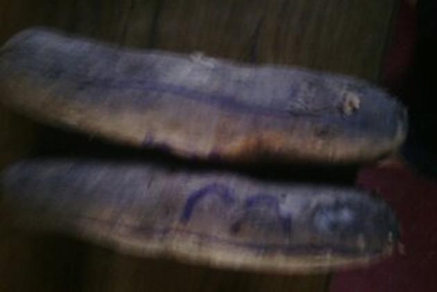 yam tuber