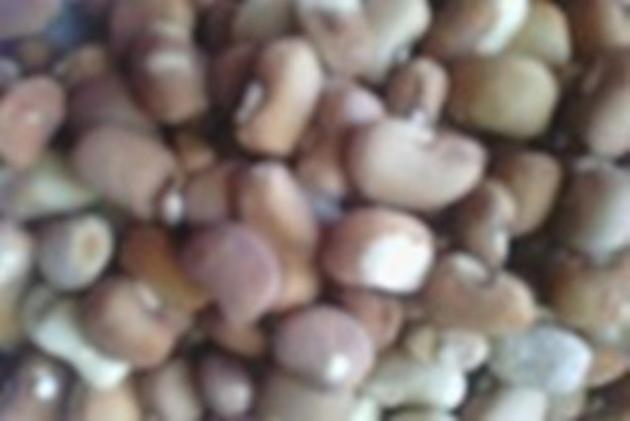 bean