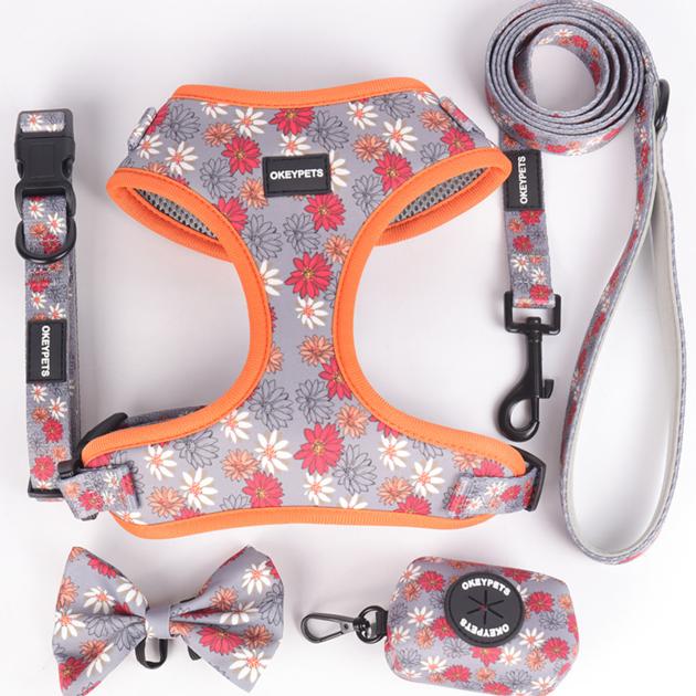 OKEYPETS Multi-Function Breathable Vest Pet Harness Set Stylish Floral Pattern Design Dog Collar Wit