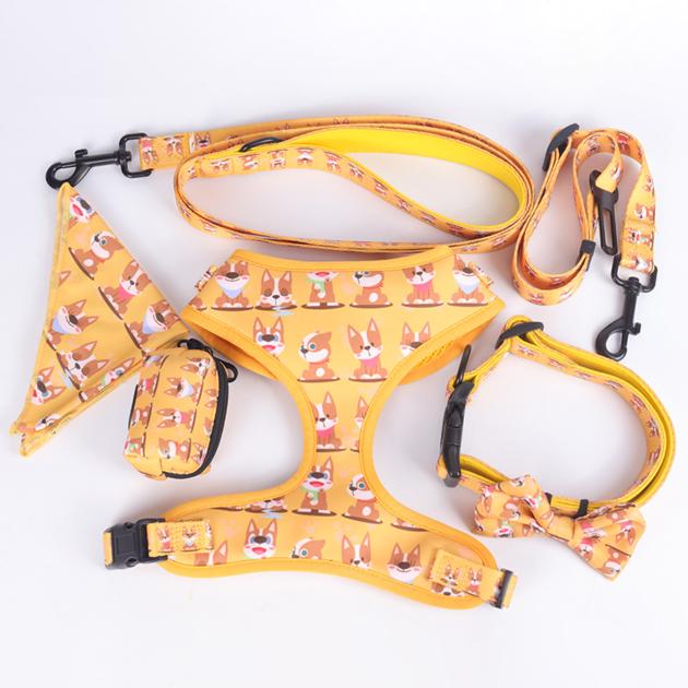OKEYPETS Design Logo Pattern Adjustable Leash Soft Mesh Padded Reversible Lead Dog Harness Leash Set