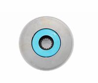 RS100 Starter Clutch Assembly