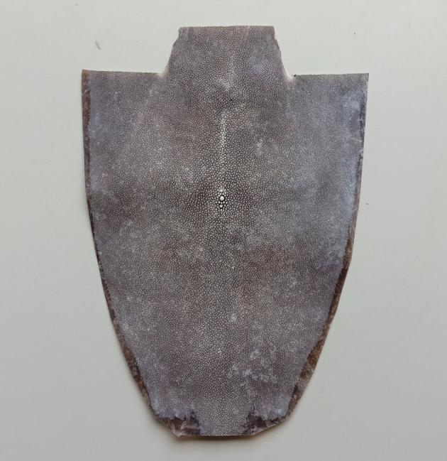 Dried Stingray Skin