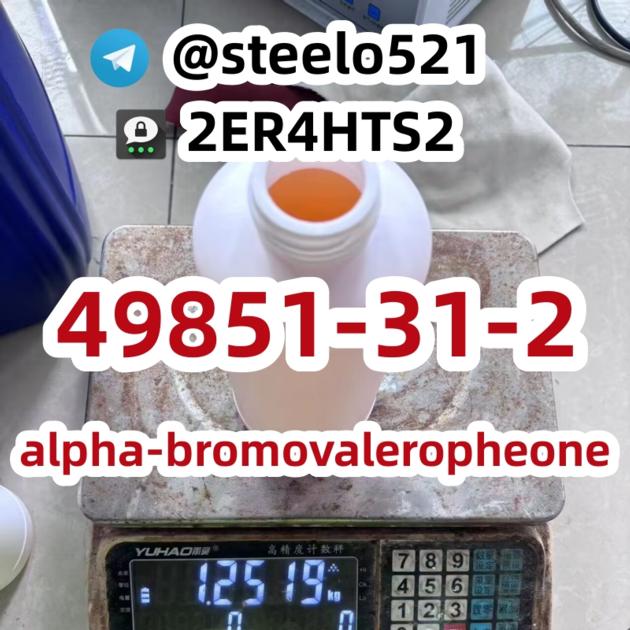 CAS 49851 31 2 2 Bromovalerophenone