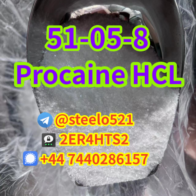 Procaine HCL CAS 51 05 8