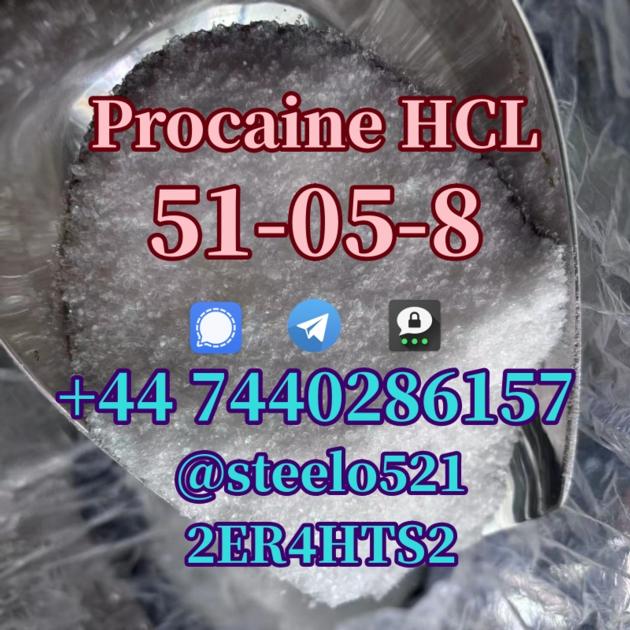 Procaine HCL CAS 51 05 8