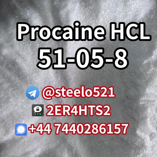 Procaine HCL CAS 51 05 8