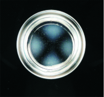 Polariscope detecting stress in glass and Quartz products