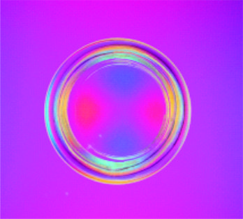 Polariscope Detecting Stress In Glass And
