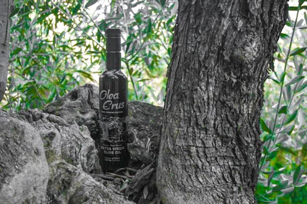 Olea Erus - Early Harvest Extra Virgin Olive Oil