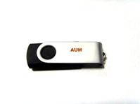 1GB USB Pen Drive Model E