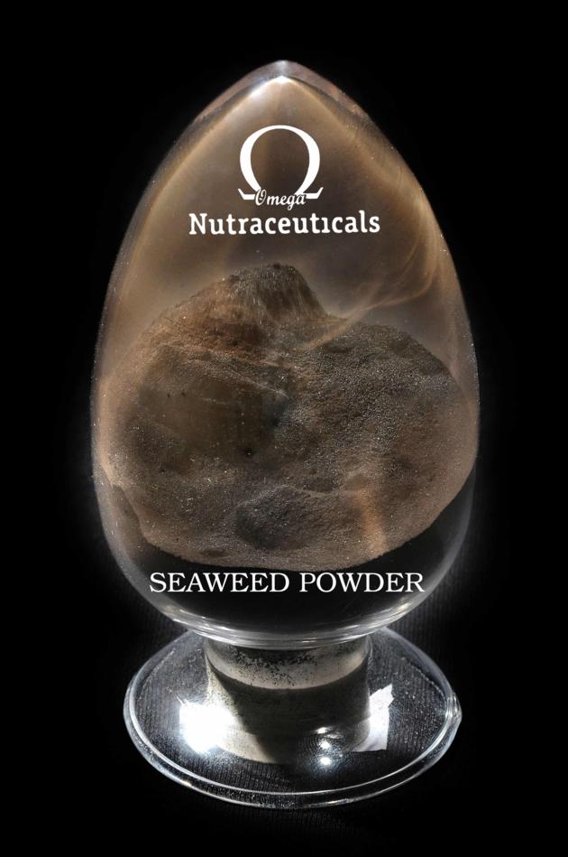 Seaweed Extract Powder