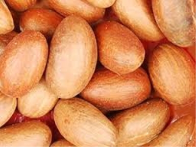 Garcinia kola (Bitter Kola )