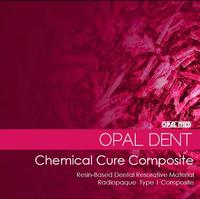 OPAL DENT Chemical Cure Composite