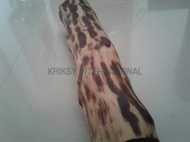 Red sandalwood logs 