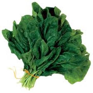 GreenFresh Spinach