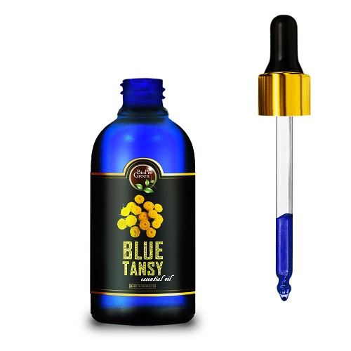 Moroccan Blue Tansy Essential Oil