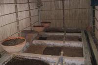 Organic fertilizer