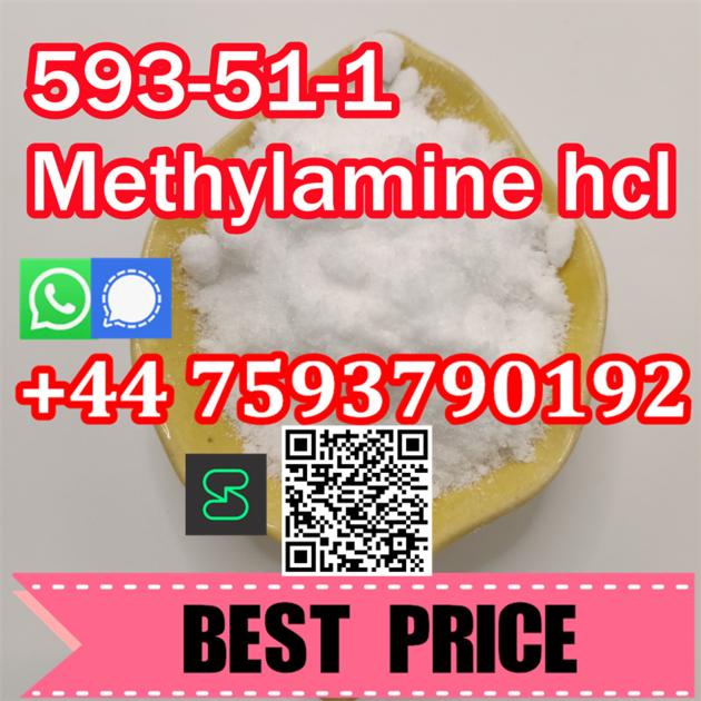 Methylamine Hydrochloride CAS 593-51-1 manufacturer supplier Oris