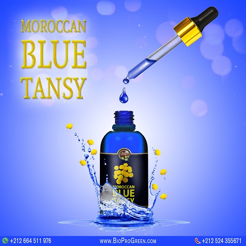 Moroccan Blue Tansy Essential Oil