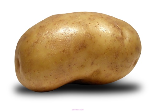 Potato