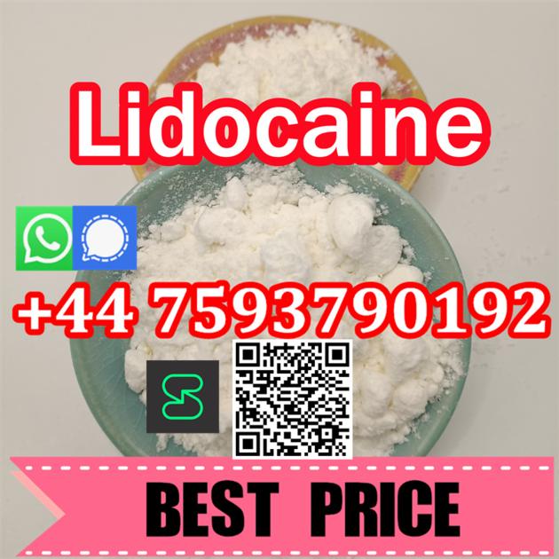 Lidocaine Raw Powder Manufacturer Factory CAS