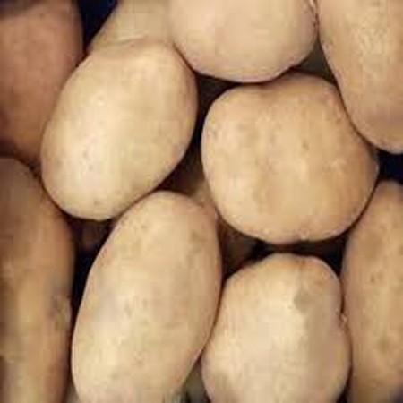 Potato