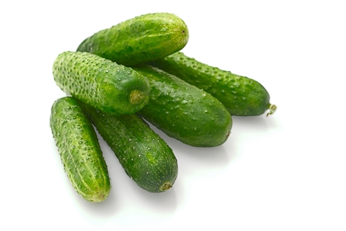 Fresh vegetables Cucumber