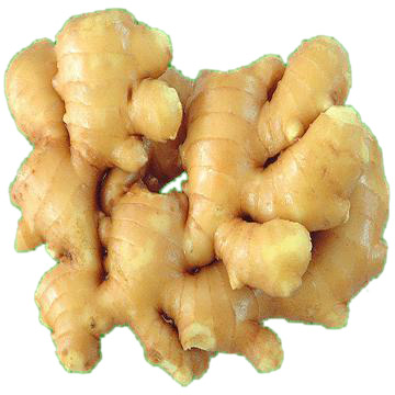 Fresh wet ginger
