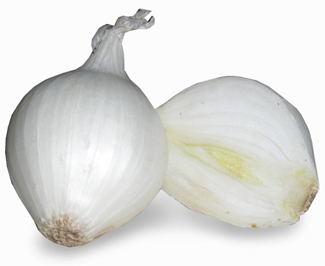 FRESH WHITE ONION