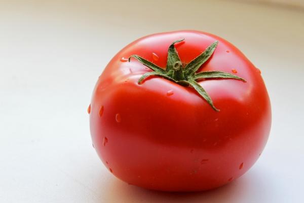 FRESH TOMATO