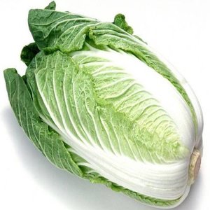 Fresh Long Cabbage