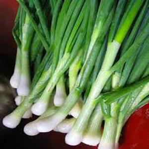 Fresh Scallions