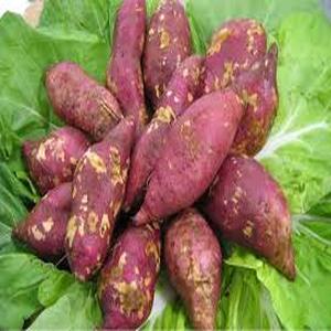 Sweet potatoes